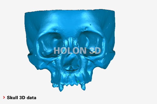 Skull 3D data